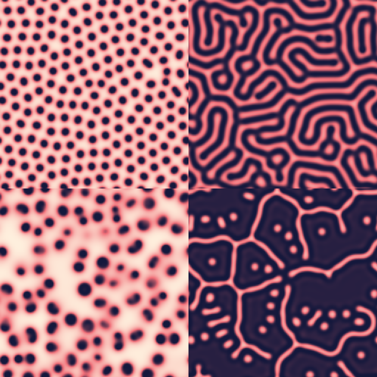 Gray-Scott 四组参数:spots / maze / waves / worms